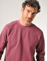 Hayle Sweatshirt Wild Ginger